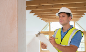 pest and building inspections