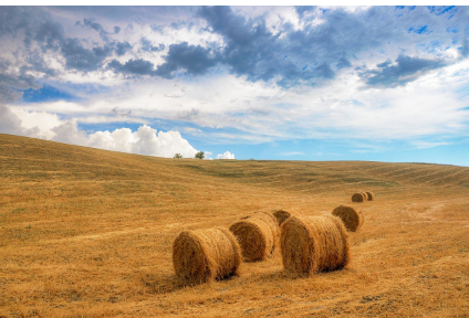 Baler Twine_ Choosing the Right Twine for Australian Farms