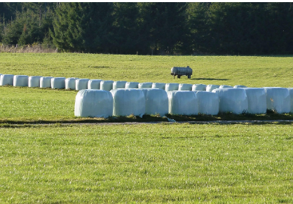 Silage Film for Industrial Fodder Preservation in Australia’ Boosting Feed Efficiency in Dairy and Beef Operations
